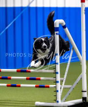 2025-June-Trial-1396