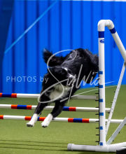 2025-June-Trial-1397