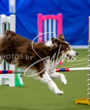 2025-June-Trial-1398