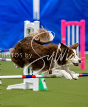 2025-June-Trial-1399