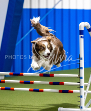 2025-June-Trial-1403