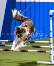 2025-June-Trial-1404