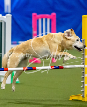 2025-June-Trial-1405