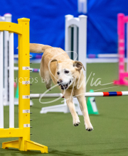 2025-June-Trial-1406