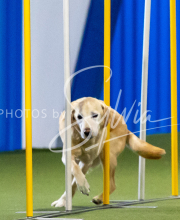 2025-June-Trial-1407