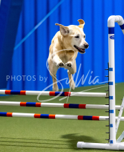 2025-June-Trial-1409