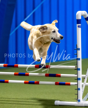 2025-June-Trial-1410