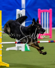 2025-June-Trial-1411