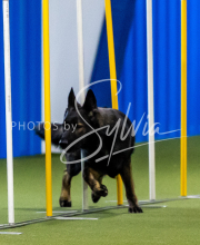 2025-June-Trial-1412