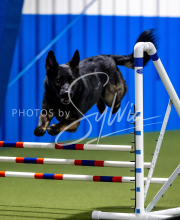 2025-June-Trial-1415