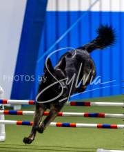 2025-June-Trial-1416