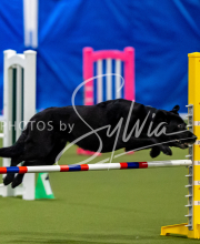 2025-June-Trial-1417