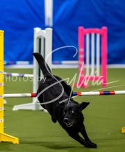 2025-June-Trial-1418