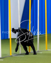 2025-June-Trial-1420