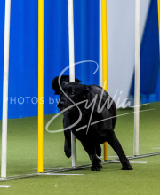 2025-June-Trial-1421