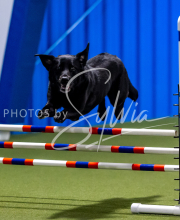 2025-June-Trial-1424