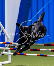 2025-June-Trial-1425