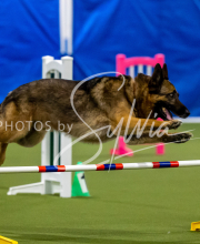 2025-June-Trial-1426