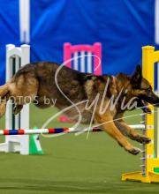 2025-June-Trial-1427