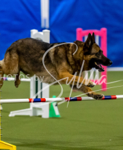 2025-June-Trial-1428