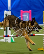 2025-June-Trial-1429