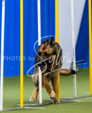 2025-June-Trial-1431