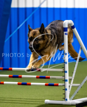 2025-June-Trial-1433