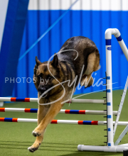 2025-June-Trial-1434