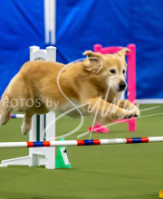 2025-June-Trial-1435