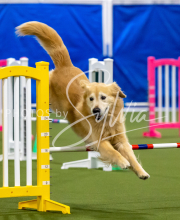 2025-June-Trial-1437