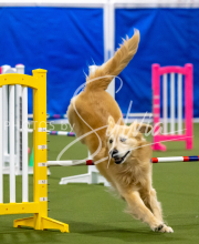 2025-June-Trial-1438