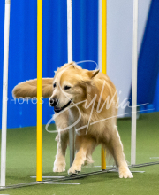 2025-June-Trial-1440