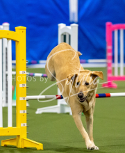 2025-June-Trial-1443