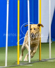 2025-June-Trial-1445