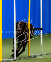 2025-June-Trial-1447