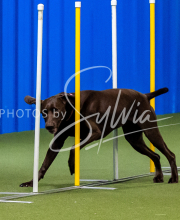 2025-June-Trial-1449