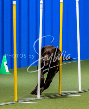 2025-June-Trial-1450