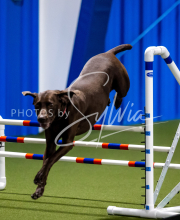 2025-June-Trial-1452