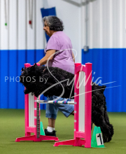 2025-June-Trial-1453