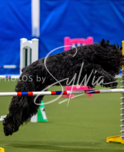 2025-June-Trial-1455