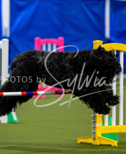 2025-June-Trial-1456