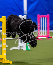 2025-June-Trial-1457