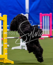 2025-June-Trial-1458