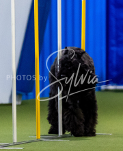 2025-June-Trial-1459