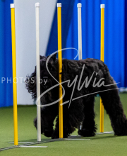 2025-June-Trial-1461