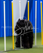 2025-June-Trial-1462