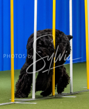 2025-June-Trial-1467