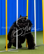 2025-June-Trial-1469