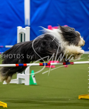 2025-June-Trial-1471