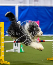 2025-June-Trial-1473